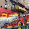 Image 6: Chinatown Guided Food Tour: Iconic Dishes & History – New York City