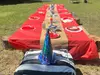 Unforgettable Party Awaits: Two-Hour Birthday Package for Up to 20 Kids at EZ's Rescue Ranch ( Up to 43% Off )