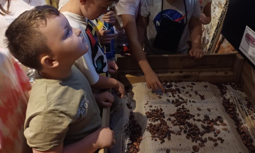 Image 7: Chwila pełna słodkich wrażeń: zwiedzanie muzeum czekolady z degustacją