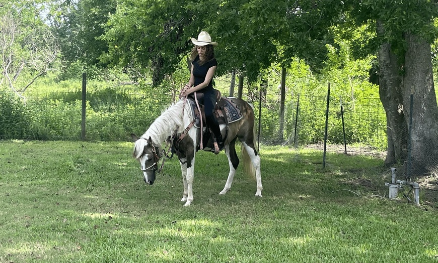 Image 15: Beginner Cowboy/Cowgirl Experience for Groups