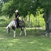 Image 15: Beginner Cowboy/Cowgirl Experience for Groups