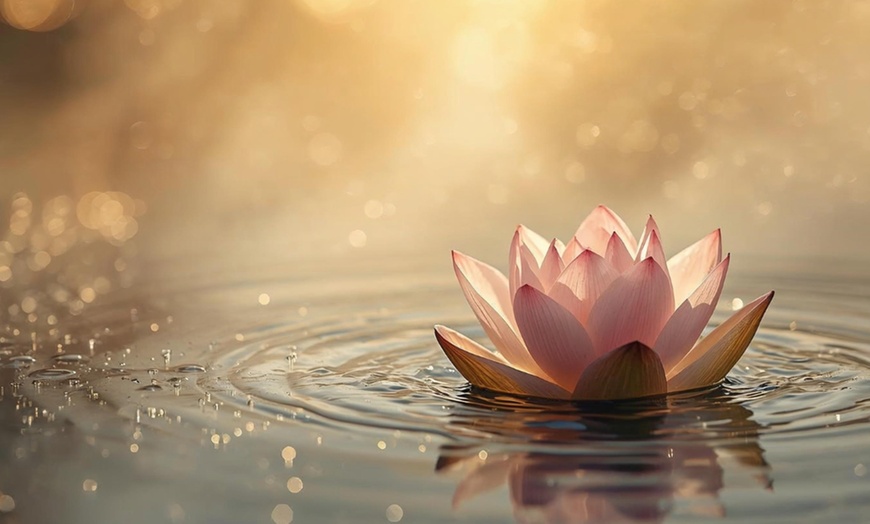 Image 13: ULTIM8BODY™ Wellness Escape and Beauty Chisel Collection