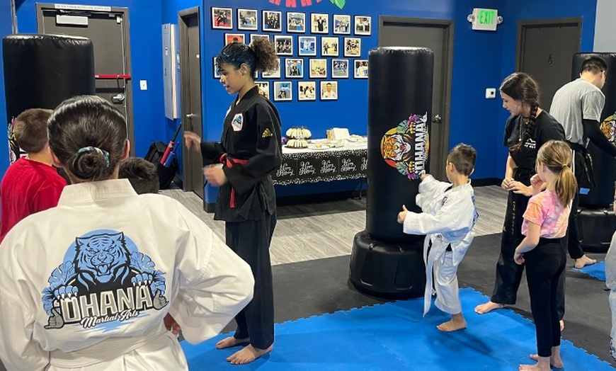 Image 5: 4 weeks of karate classes for one or two children