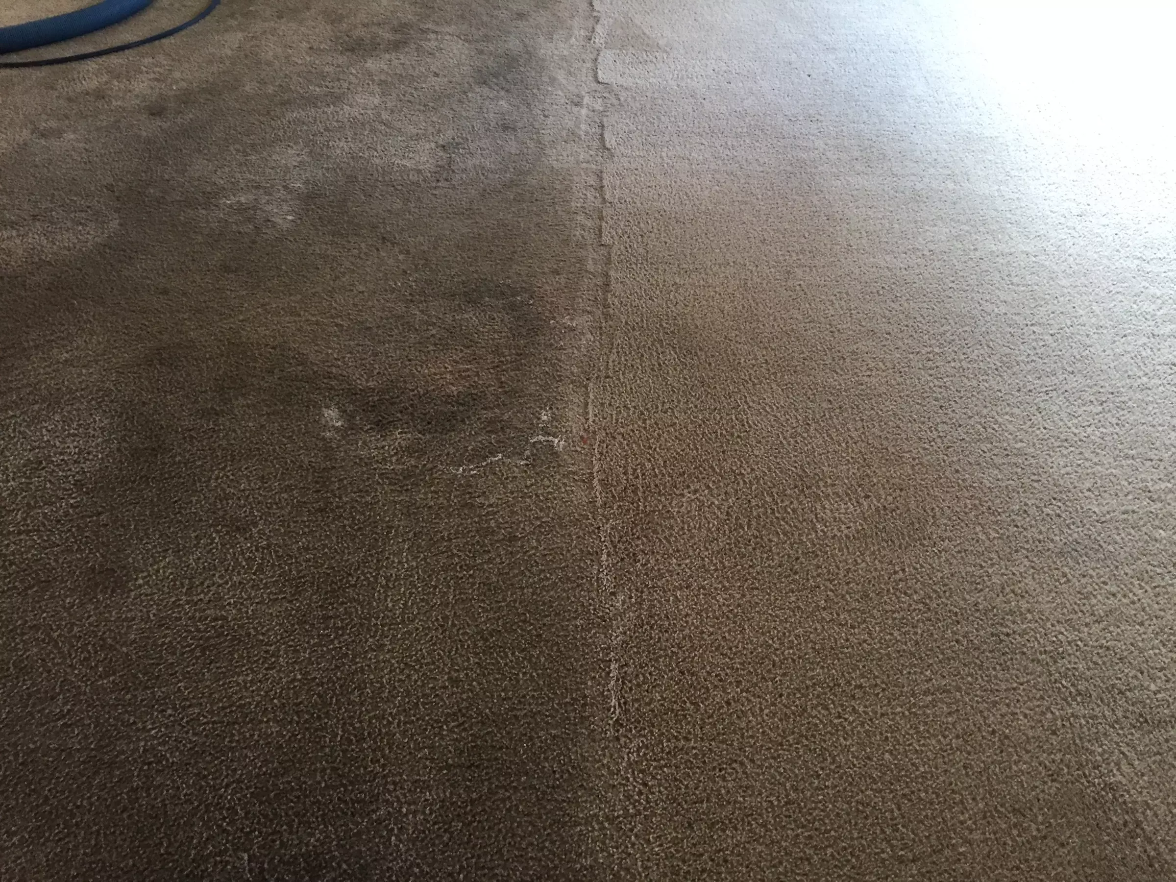 Up to 27% Off on Carpet Cleaning at Flooring Concepts Clean And Seal - Primary Image
