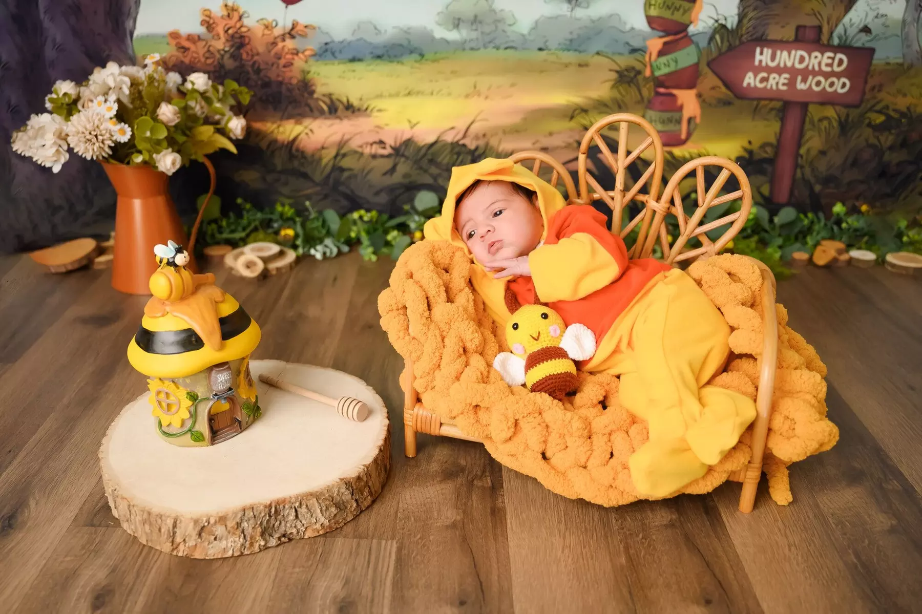 30 or 45-Min In-Studio Newborn Photography + 3 Digital Images