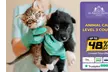 Up to 83% Off on Pet - Daycare at St Pauls College - Second Medium