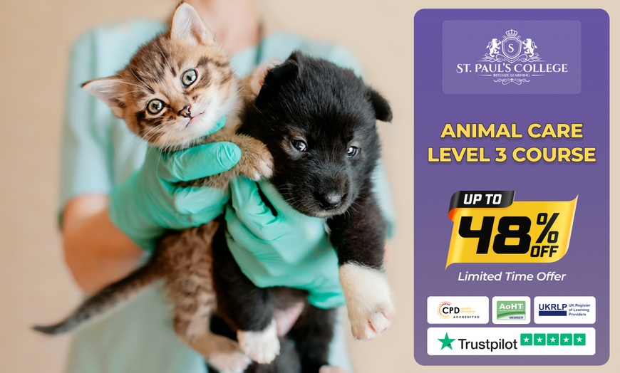 Image 5: Up to 72% Off on Pet - Daycare at St Pauls College