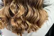 Berkley’s Beauty offers expert women’s haircuts and styles to enhance your look, all with up to  33% off - Second Medium