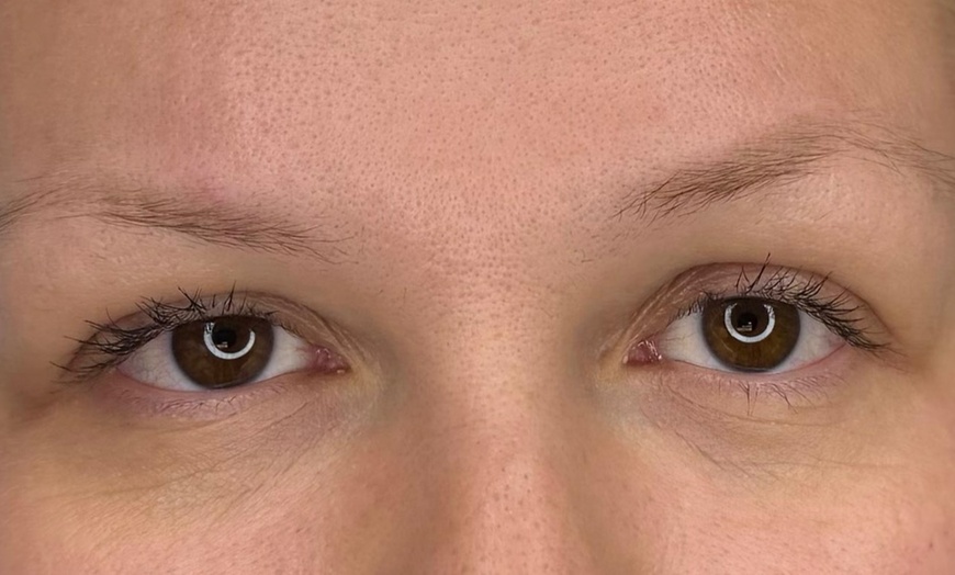 Image 3: Permanent Makeup Brows with Custom Shaping and Mapping