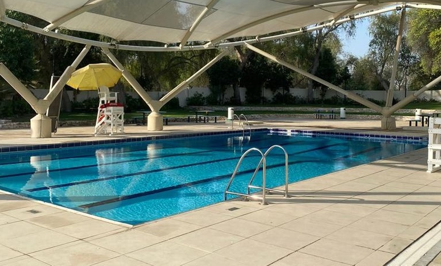 Image 3: Swimming - Training at Little Champions Swimming academy 