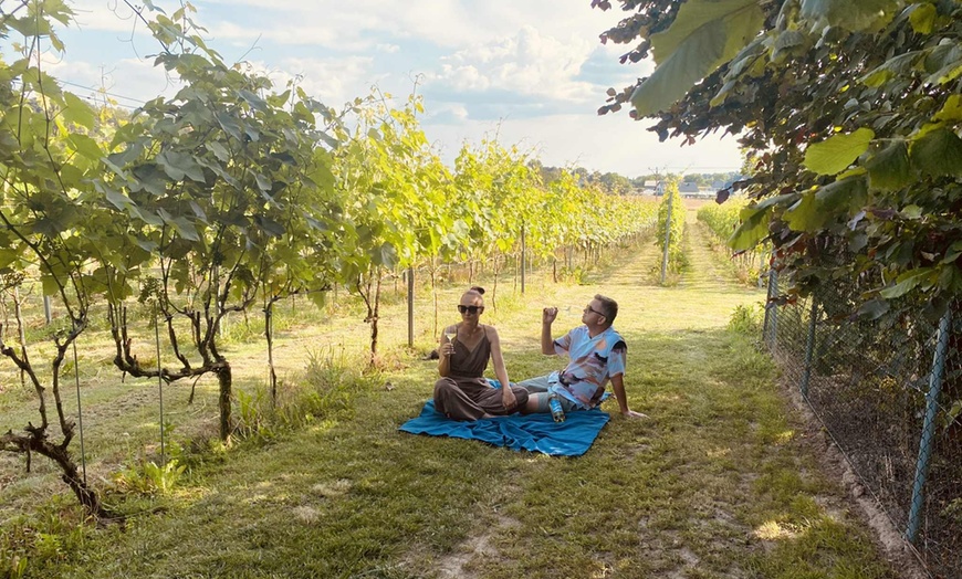 Image 5: Enoturystyczna przygoda na Wzgórzach Trzebnickich dla 2-8 osób