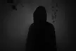 Dare to Experience Zig-E's Funland's The Hollow of Horrors - Haunting Decor, Maze of Fear & More - Second Medium