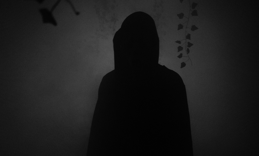 Image 3: Dare to Experience Zig-E's Funland's The Hollow of Horrors - Haunting Decor, Maze of Fear & More