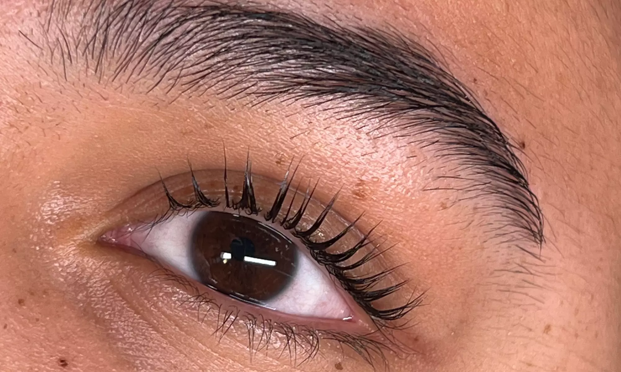 Get One Bikini Wax, Brazilian Session, or One Bikini & Underarm Wax