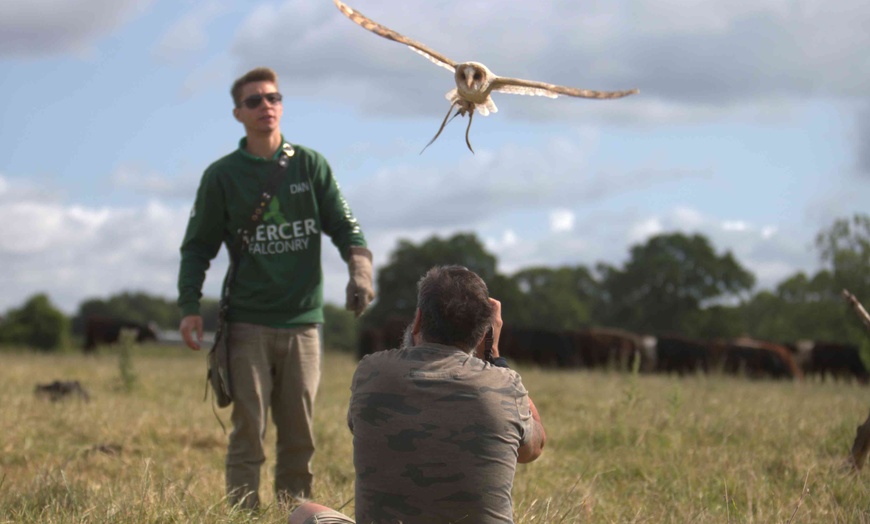 Image 6: Up to 50% Off on Tour - Photography at Mercer Falconry