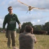 Image 6: Up to 50% Off on Tour - Photography at Mercer Falconry
