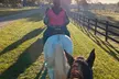 Explore Horse Back Riding Adventure at B And C Bourbon for 1, 2,3, or 4 People (Up to 20% Off) - Second Medium