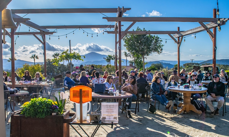 Image 2: Enjoy Wine Tasting for Two with Scenic Views