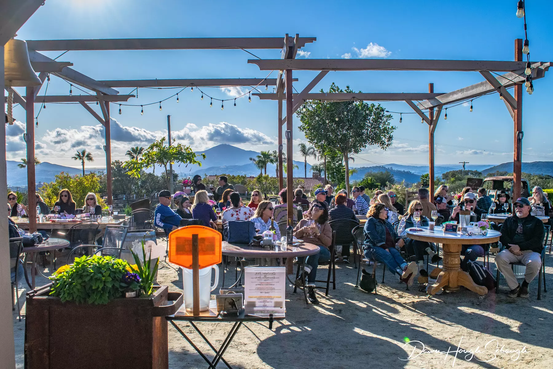 Enjoy Wine Tasting for Two with Scenic Views