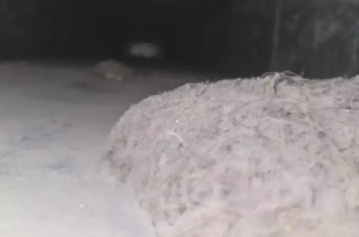 Air Duct Cleaning- 15 Supply Vents, 1 Return Vent, 1 Mainline & More