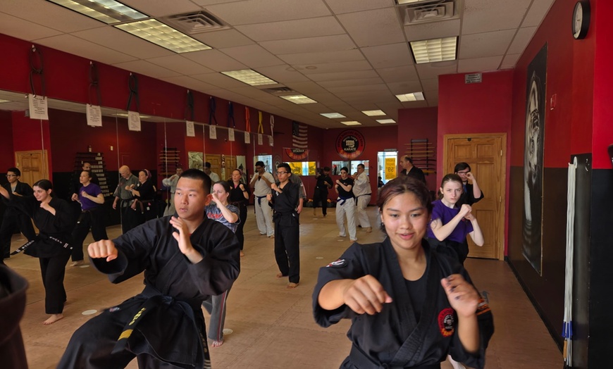 Image 1: Get 4 Weeks of Unlimited Karate Classes with Free Custom Tiger Uniform