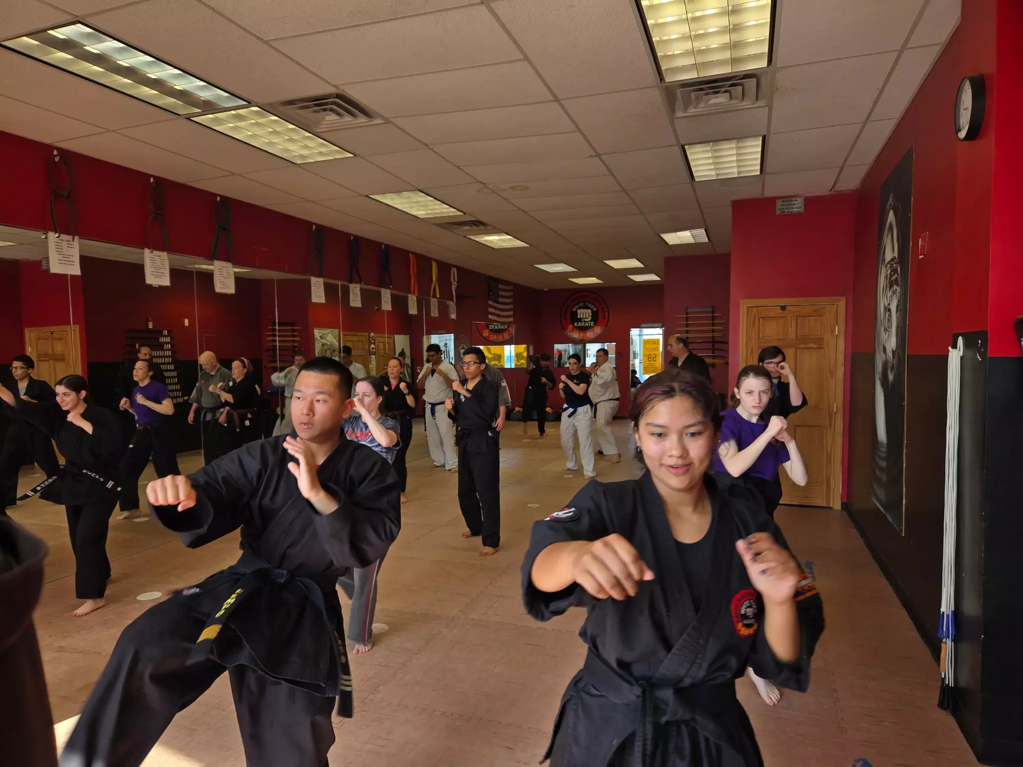 Get 4 Weeks of Unlimited Karate Classes with Free Custom Tiger Uniform