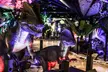 Premier Dinosaur Exhibit - Pangaea Land of the Dinosaurs VIP or GA Options Available with Up To 29% Off - Second Medium