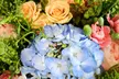 Flower Picking in Malibu With Bouquet Options at Cosette Estates Flowers (Up to 24% Off) - Second Medium