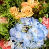 Image 3: Flower Picking in Malibu With Bouquet Options
