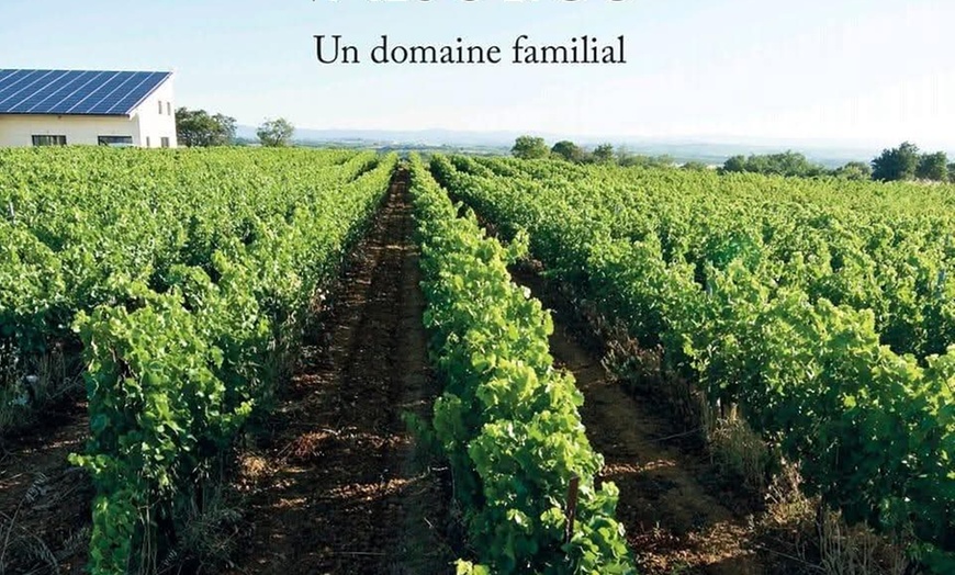 Image 2: Dégustation, planche apéritive, visite en option au Domaine Valjulius