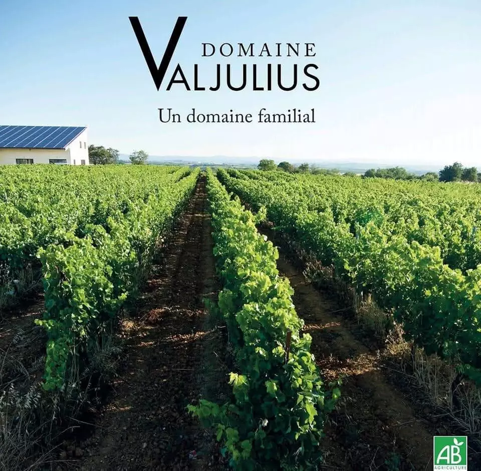 Dégustation, planche apéritive, visite en option au Domaine Valjulius