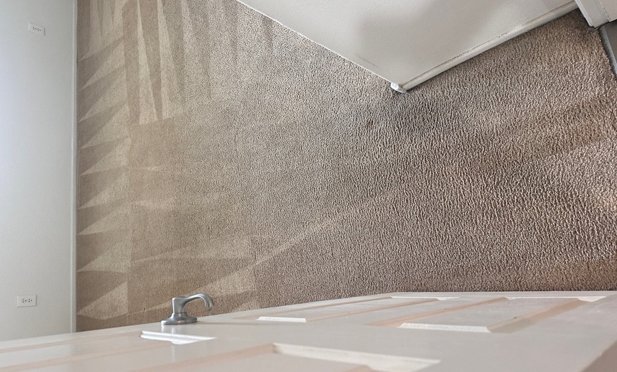 Image 3: Up to 33% Off on Carpet Cleaning at Clean Kings LLC