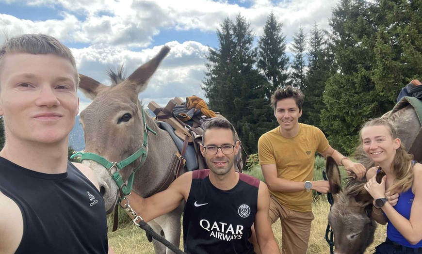 Image 5: Jusqu'à 40% de remise sur Équitation - Loisir chez Le Col De La Molède À Cheval