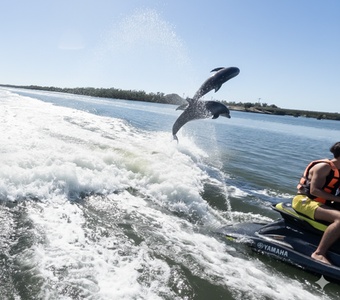 All Day Paddle Board & Kayak Rental + 2 Beach Chairs & Umbrella Included - All Island Watersports in Fort Myers Beach, Florida