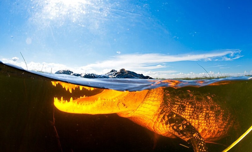 Image 16: Up to 28% Off – Everglades Airboat Tour