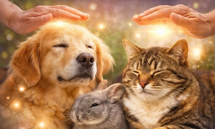 Distance Animal Reiki Healing & Intuitive Reading - Divine Body & Soul Healing