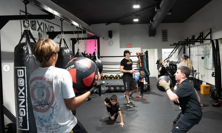 Image 3: Private Boxing Training with 2 Intro or 5 Group Classes