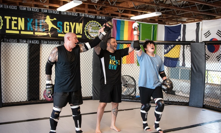 Image 3: Private Group MMA Training for 2 to 20 People 