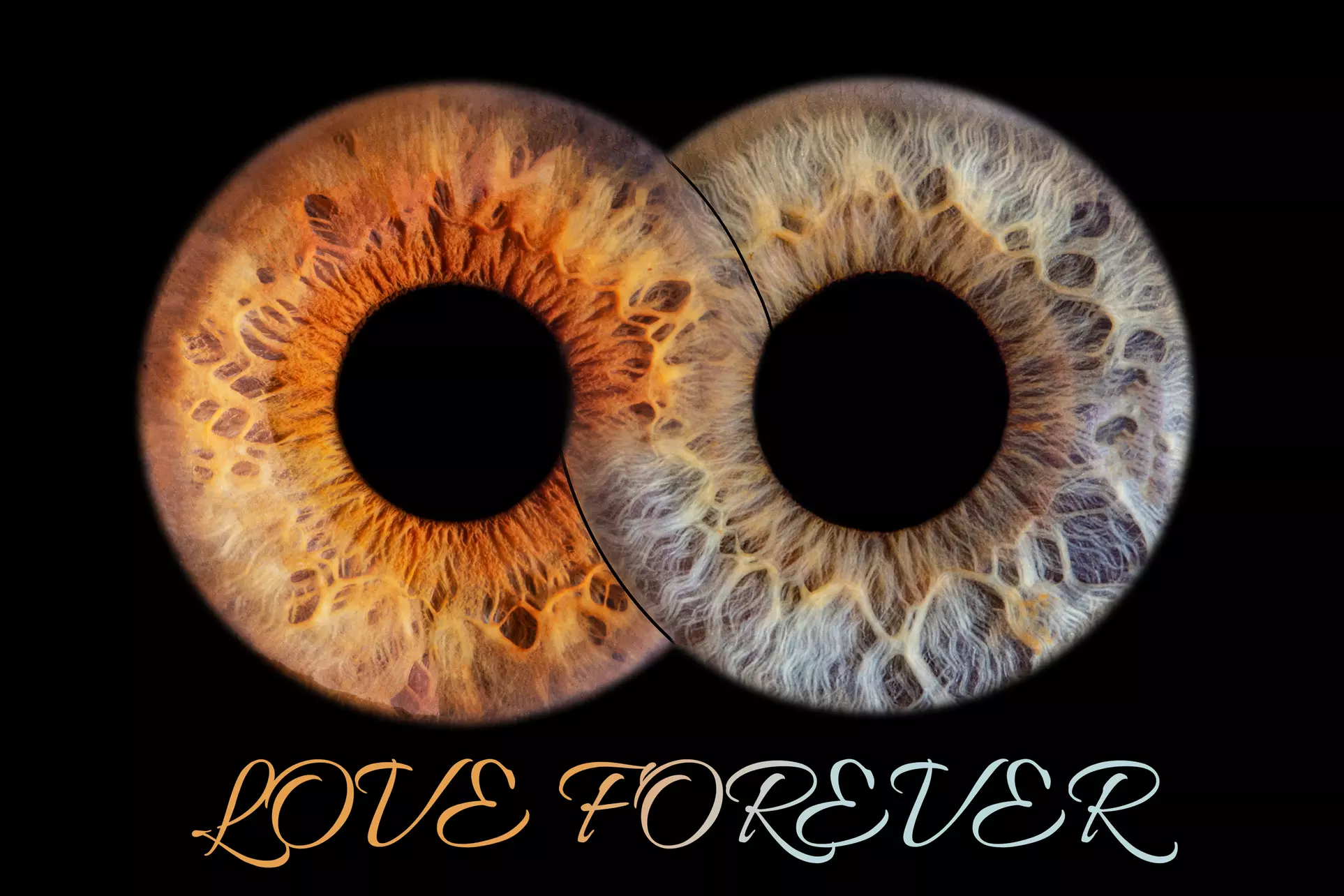 Iris-Fotoshooting für 1 - 3 Iriden ohne Effekt inkl. Bild als Datei