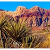 Image 3: Scooter Tour through Red Rock Canyon NCA – Las Vegas