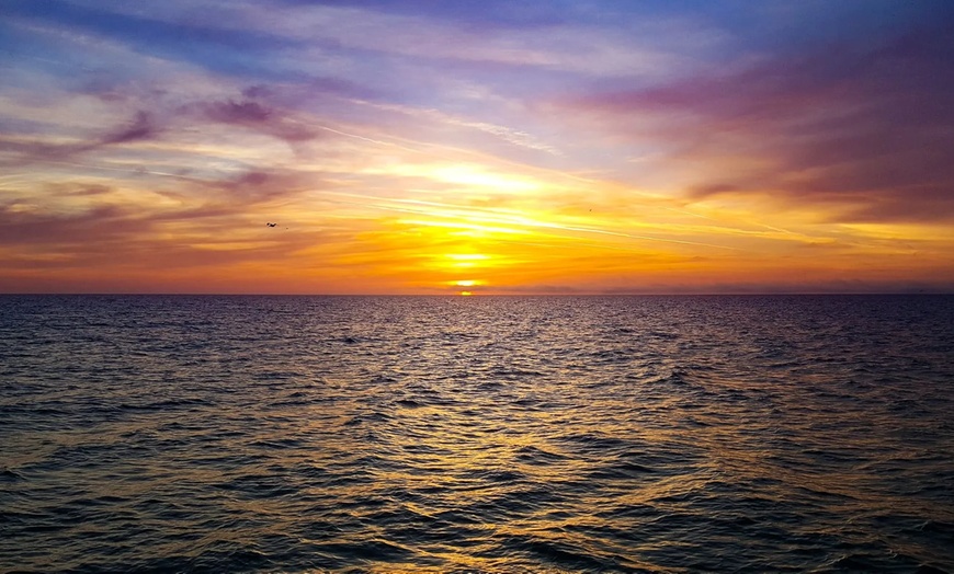 Image 5: 1-Hour and 45-Minute Dolphin Exploration Boat Tour in Clearwater, FL