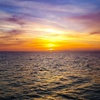 Image 5: 1-Hour and 45-Minute Dolphin Exploration Boat Tour in Clearwater, FL