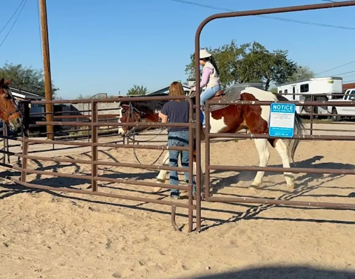 Horseback Riding Lessons & Guided Trail Rides – Phoenix