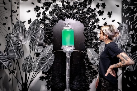 Any Day (M, Th, Fri, Sat, Sun) Admission for Four (Online booking required) - Jamnola