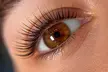 Up to 42% Off on Eyelash Tinting at Le Beaute' Aqua Beauty - Second Medium
