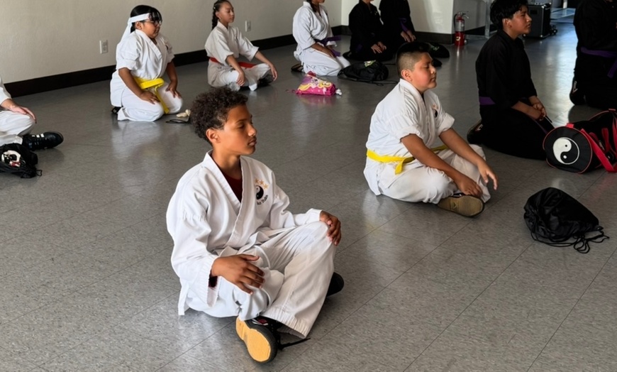 Image 4: Empower Your Child with One or Two Months of Kids Martial Arts Classes