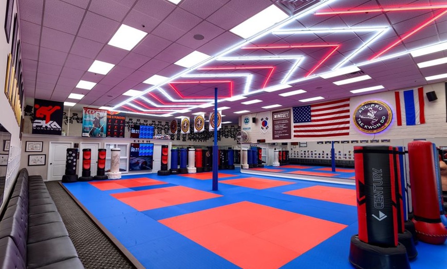 Image 1: 10 Days of Unlimited Tae Kwon Do Classes for One or Two Kids