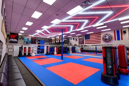 10 Days of Unlimited Tae Kwon Do Classes with Registration for One Child - All-Pro Tae Kwon Do Academy