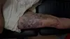 Up to 40% Off on Tattooing at InkaSoul Studio