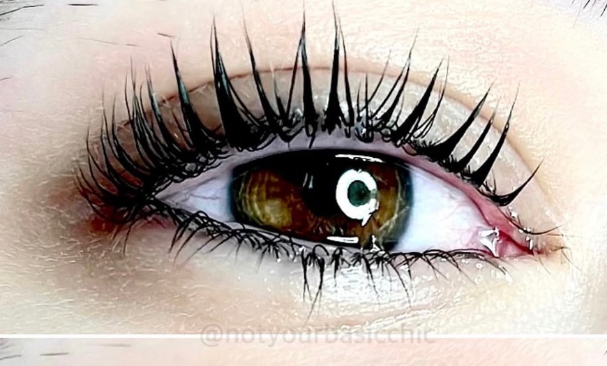 Image 5: Up to 37% Off on Eyelash Tinting at Not Your Basic Chic